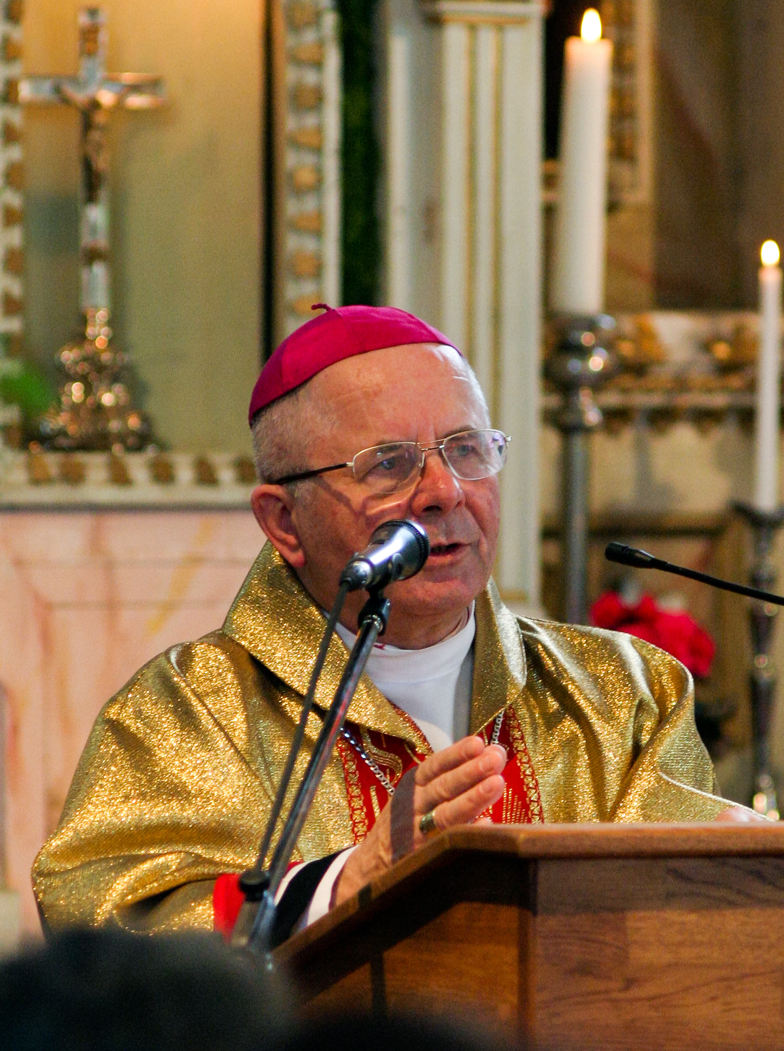 Sigitas Tamkevičius photo