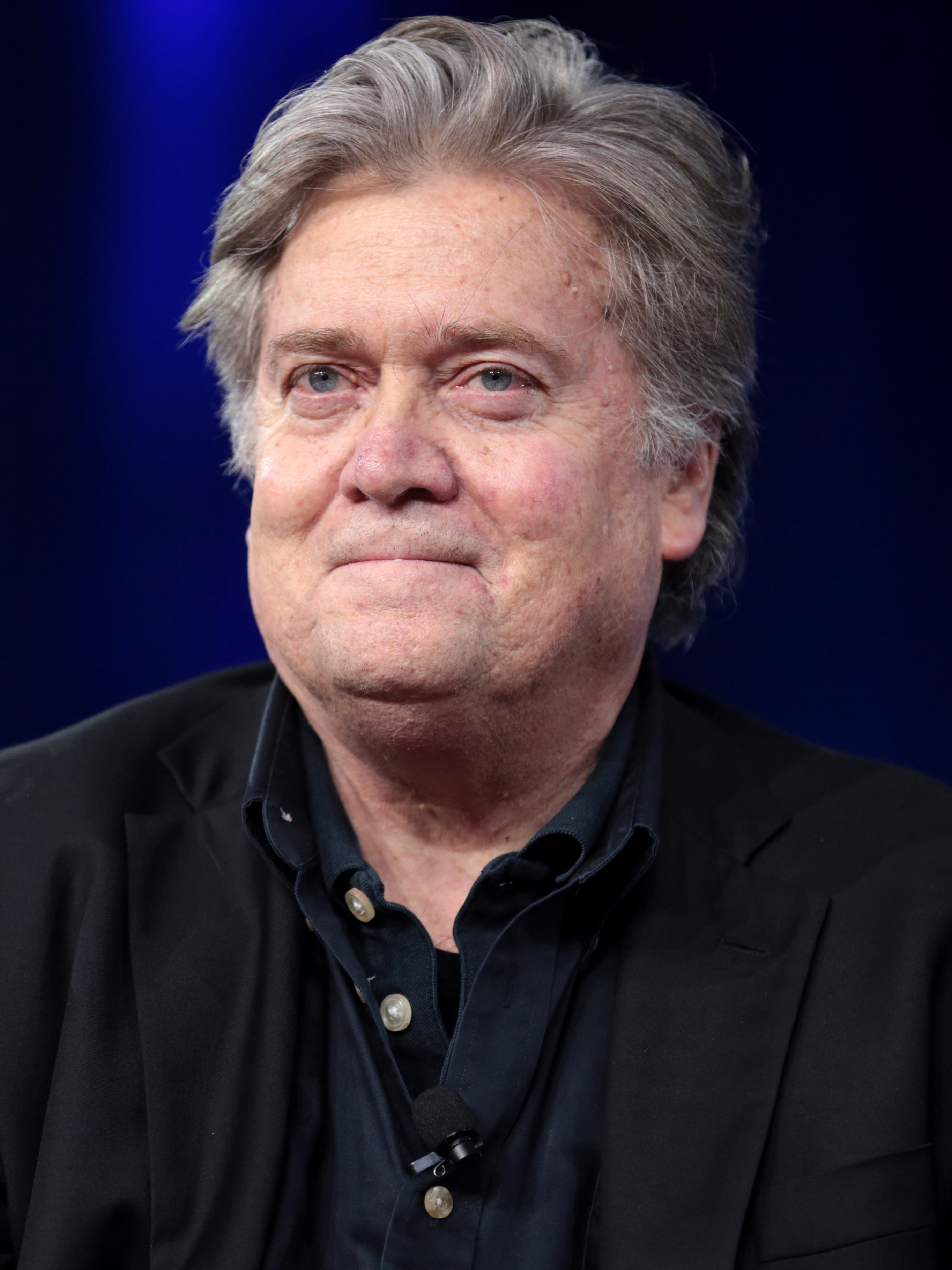 Steve Bannon photo