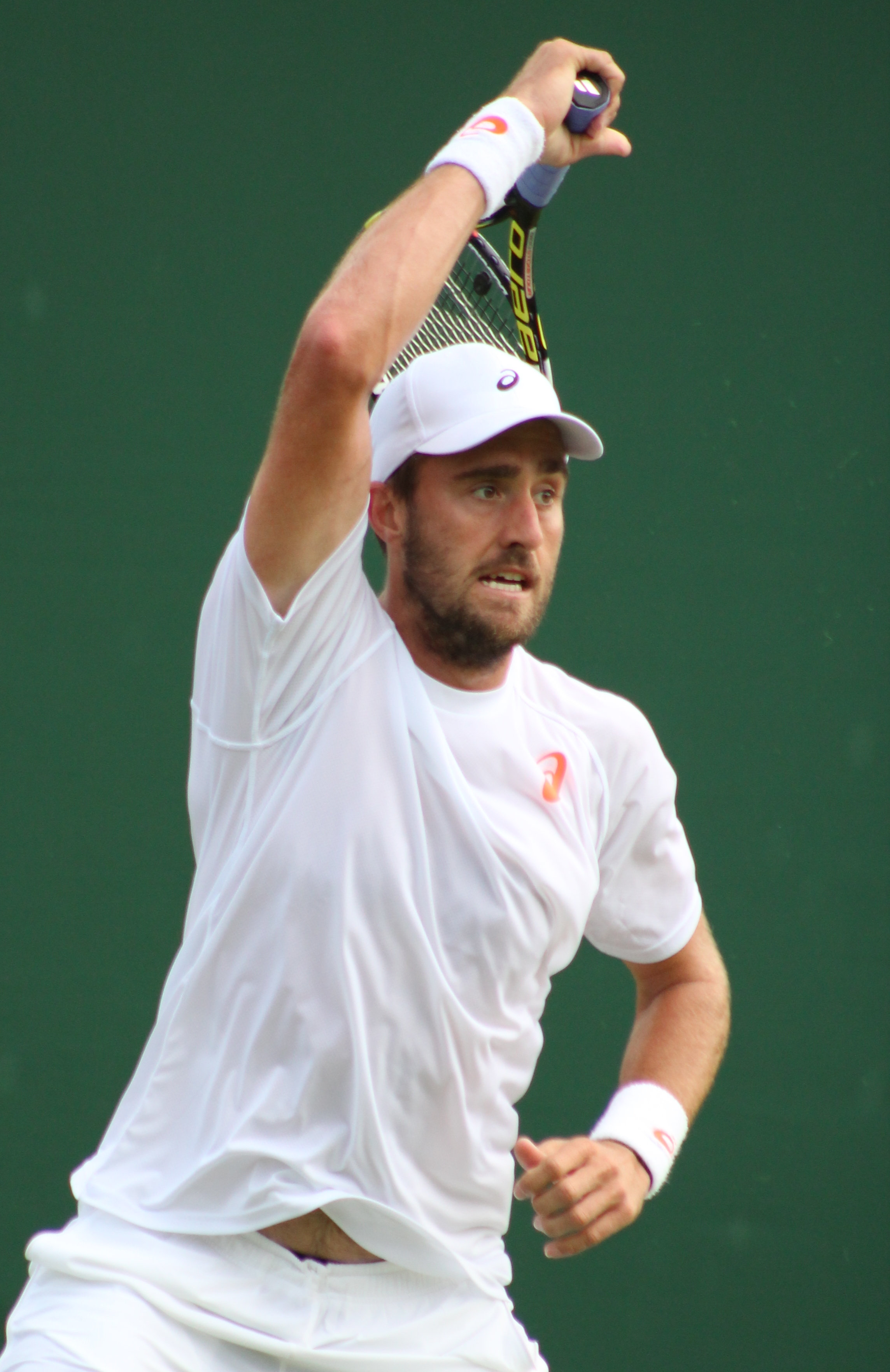 Steve Johnson (tennista) photo