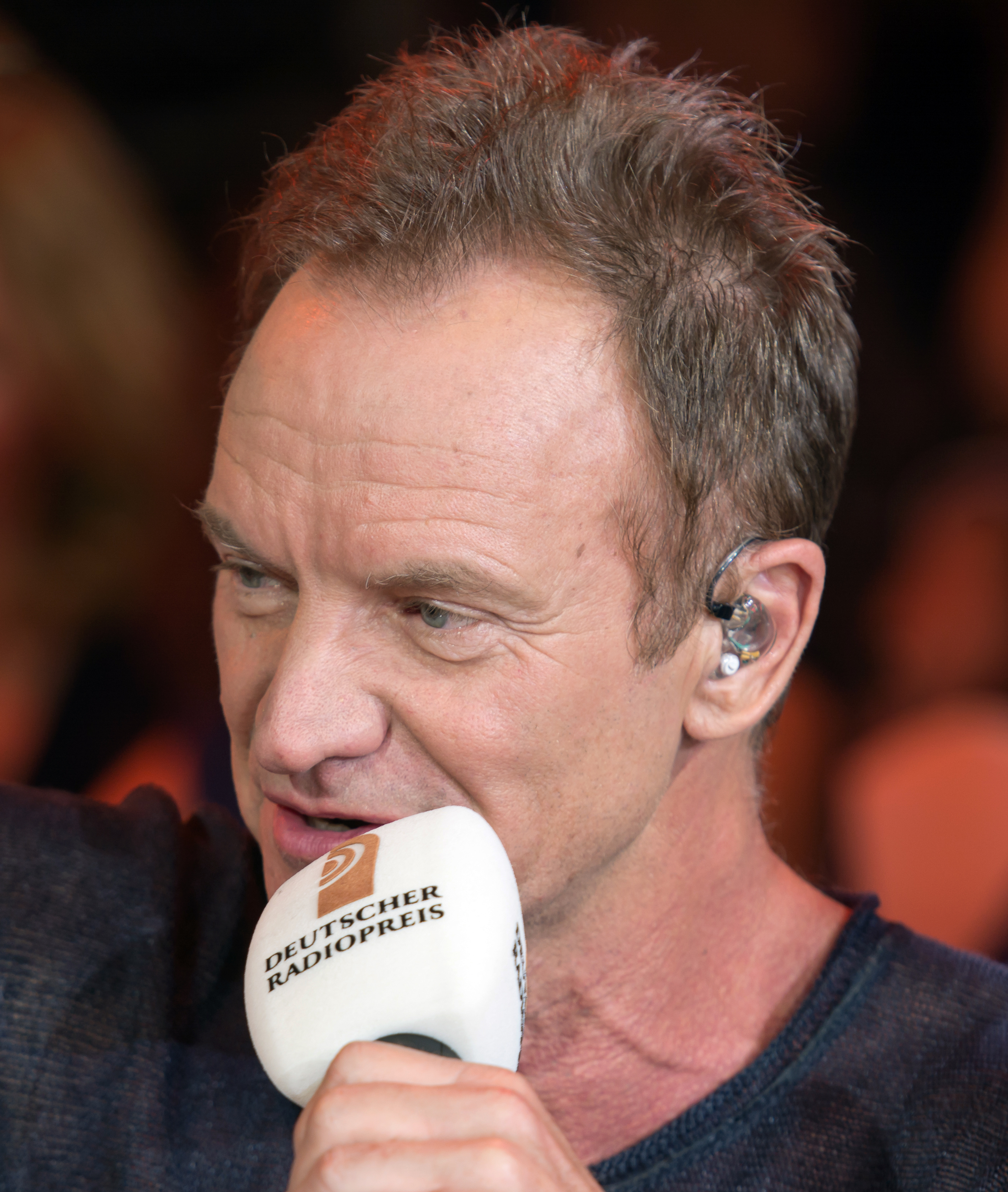 Sting photo