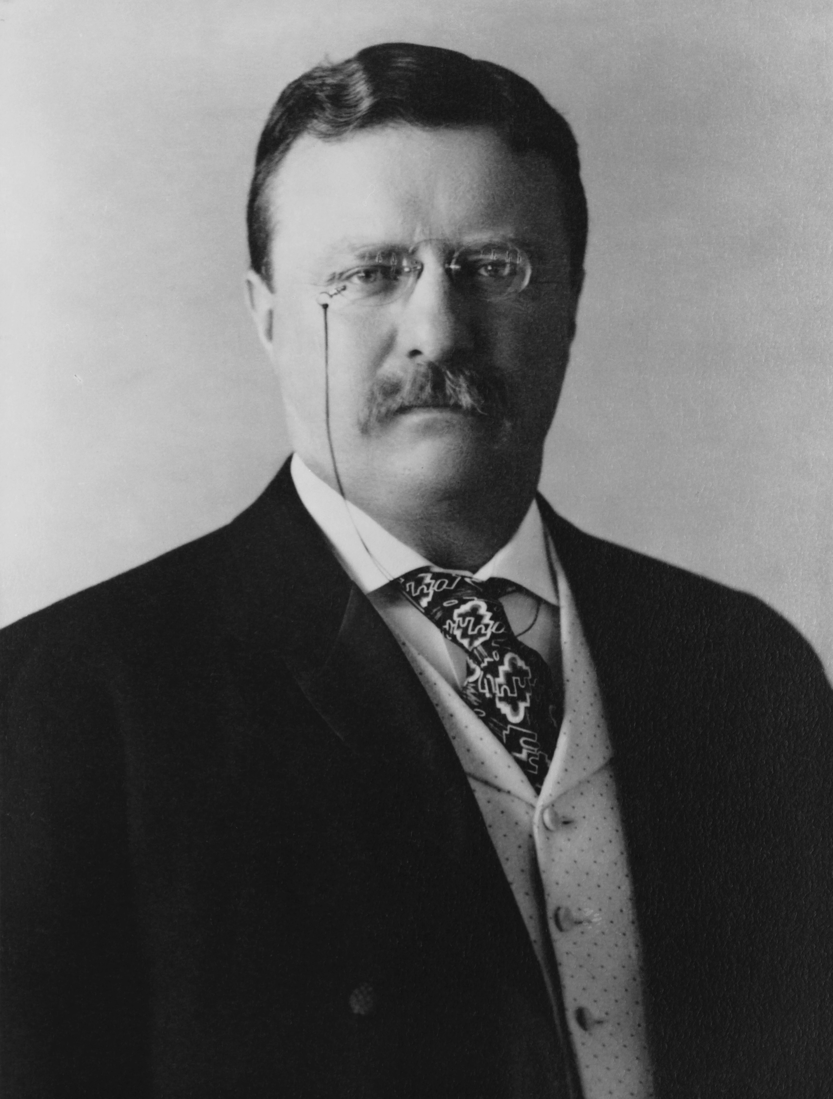 Theodore Roosevelt photo