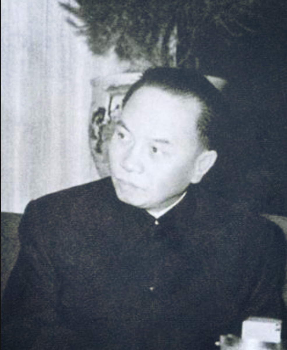 Trường Chinh photo