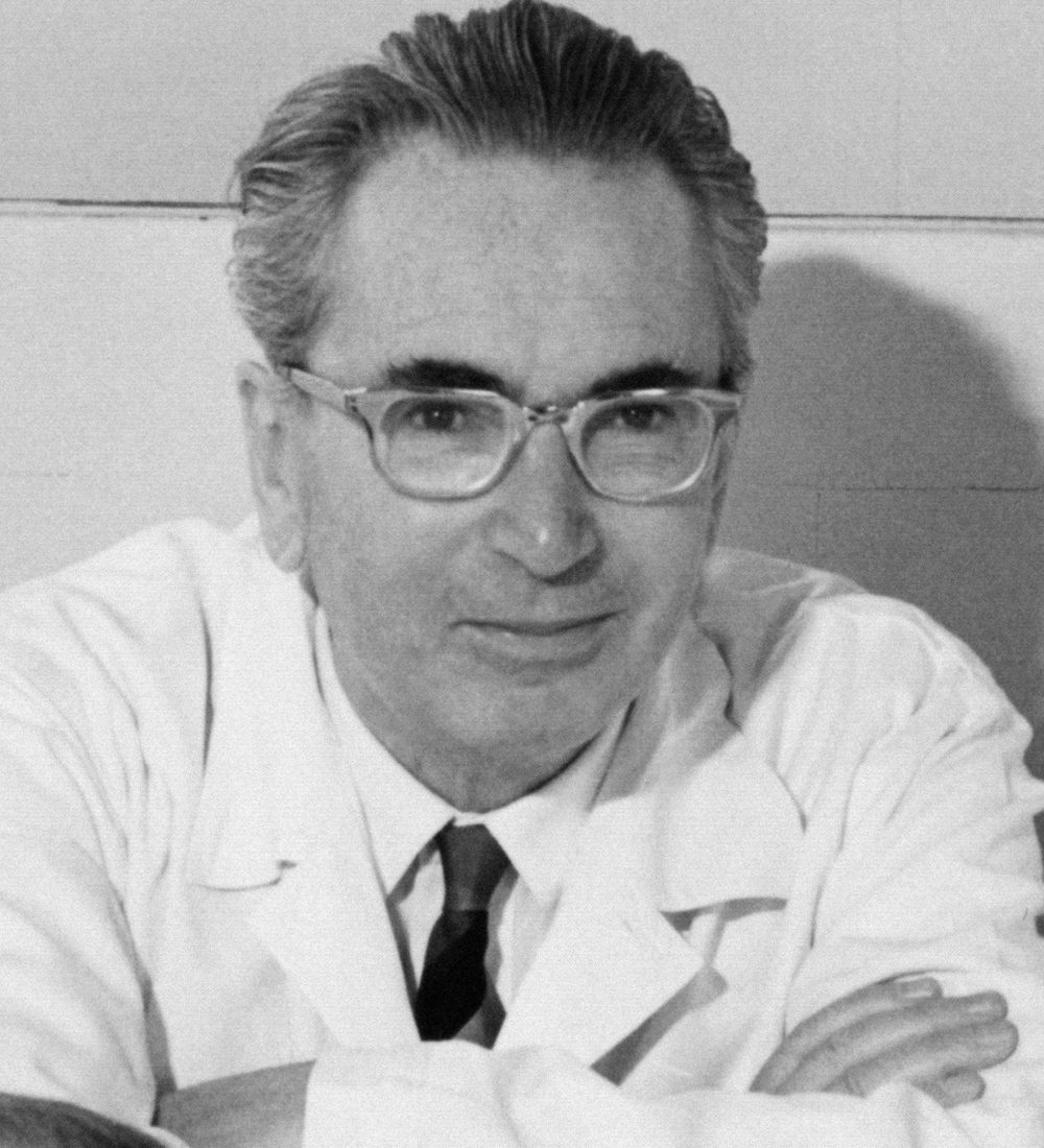 Viktor Emil Frankl photo
