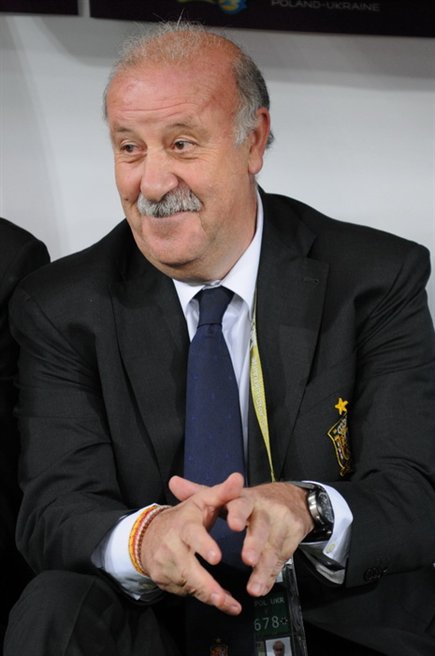 Vicente del Bosque photo