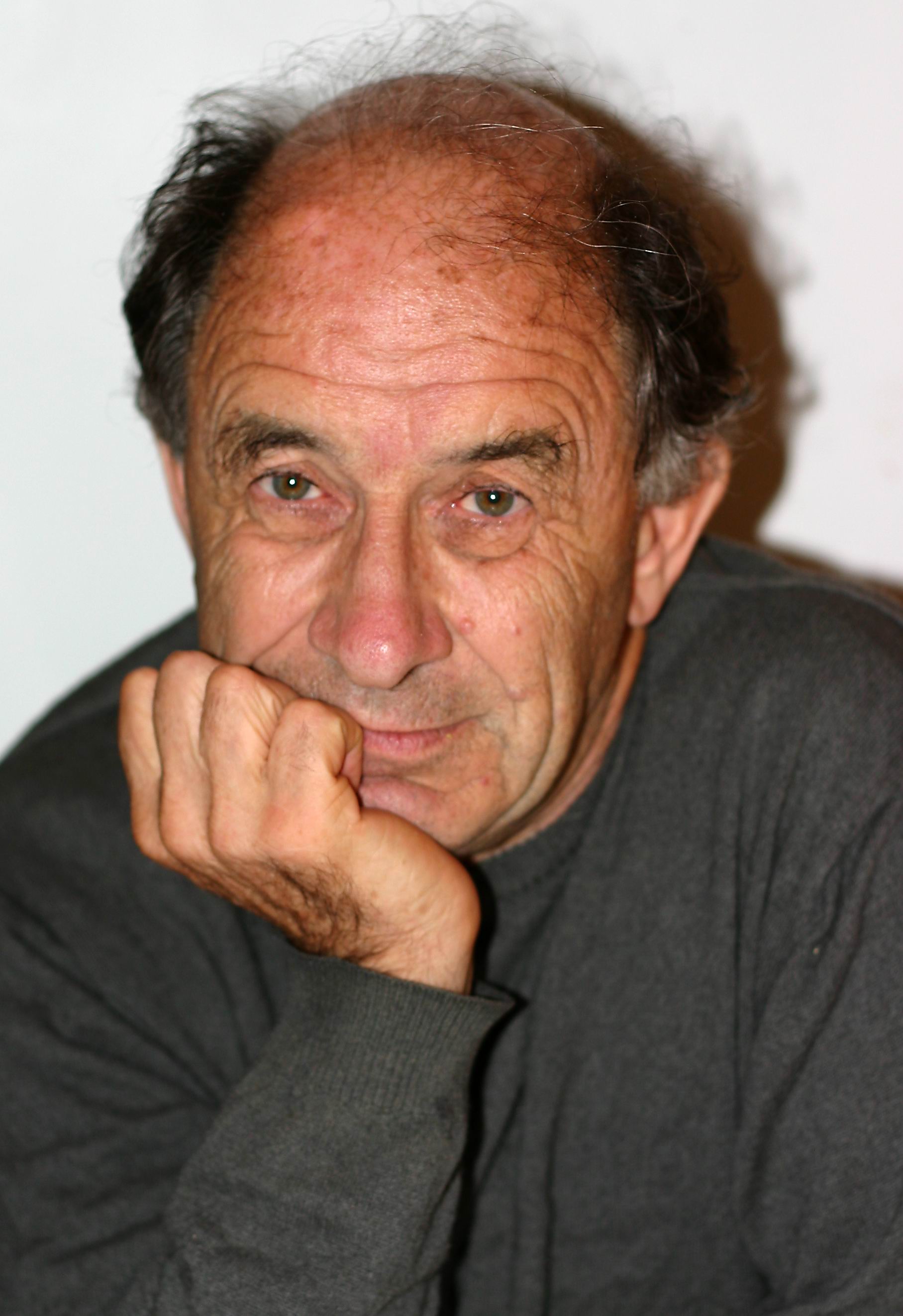Vladimir Igorevič Arnol'd photo