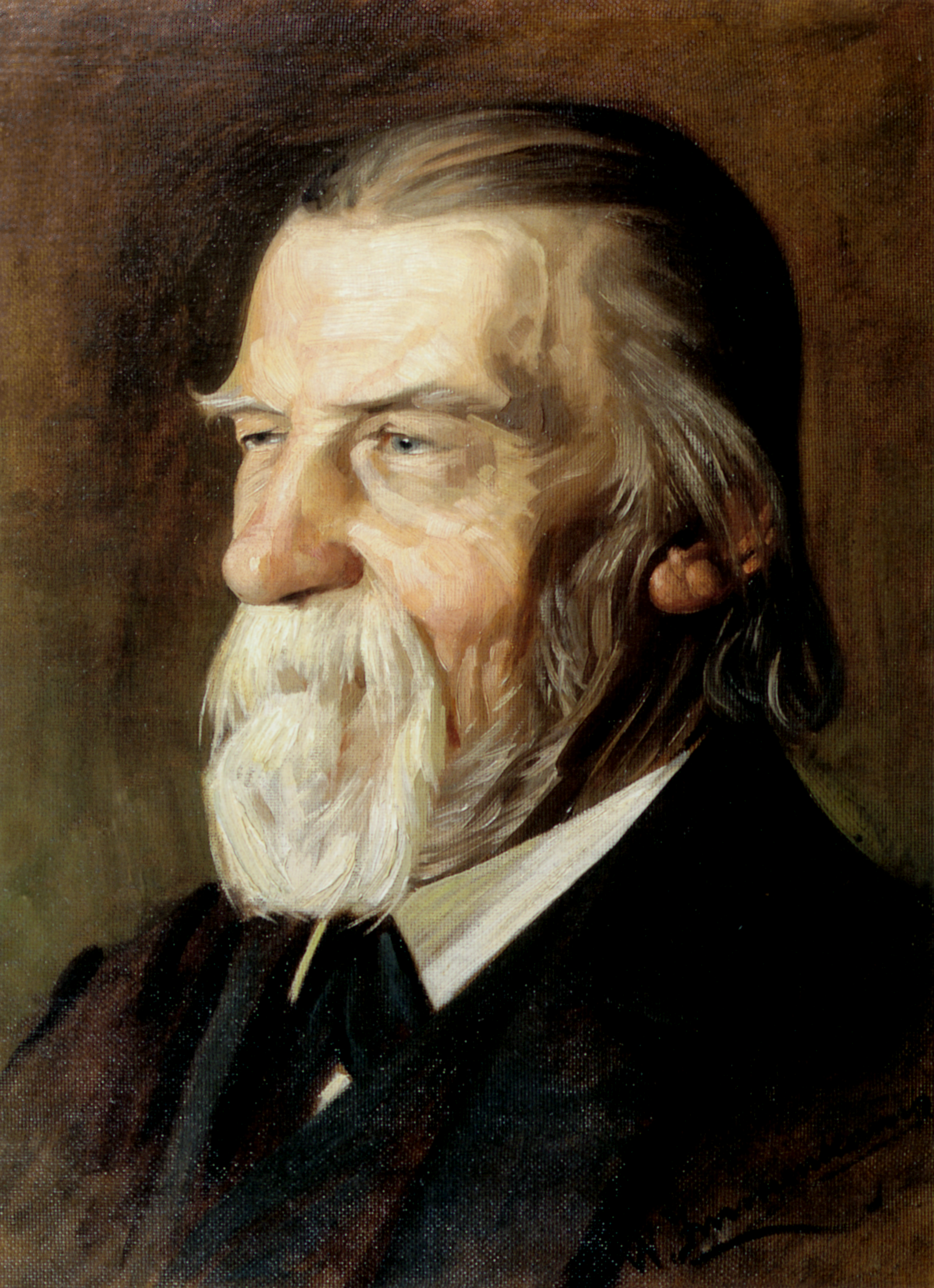 Wilhelm Raabe photo