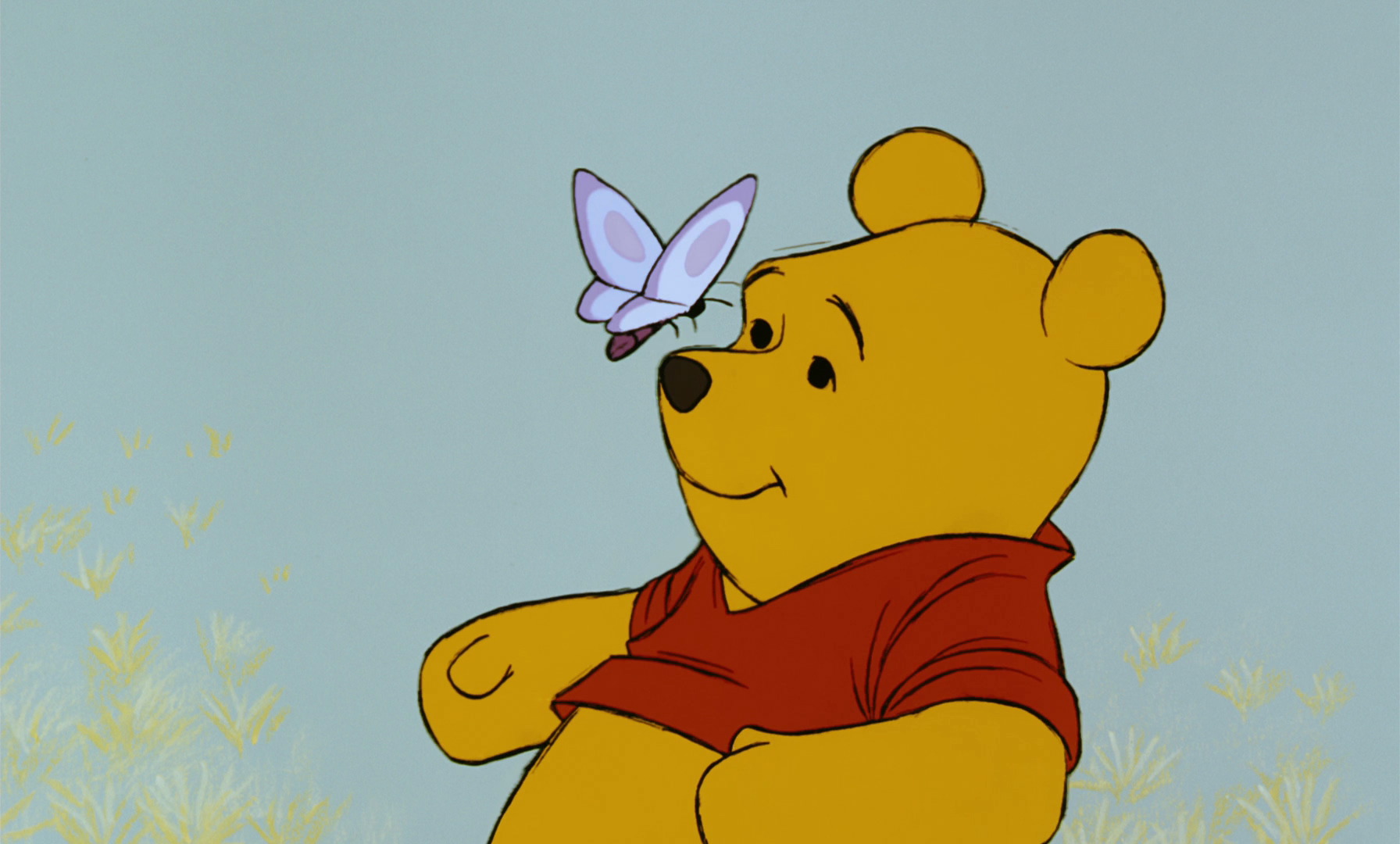 I Pooh Dove Sono Gli Altri Tre