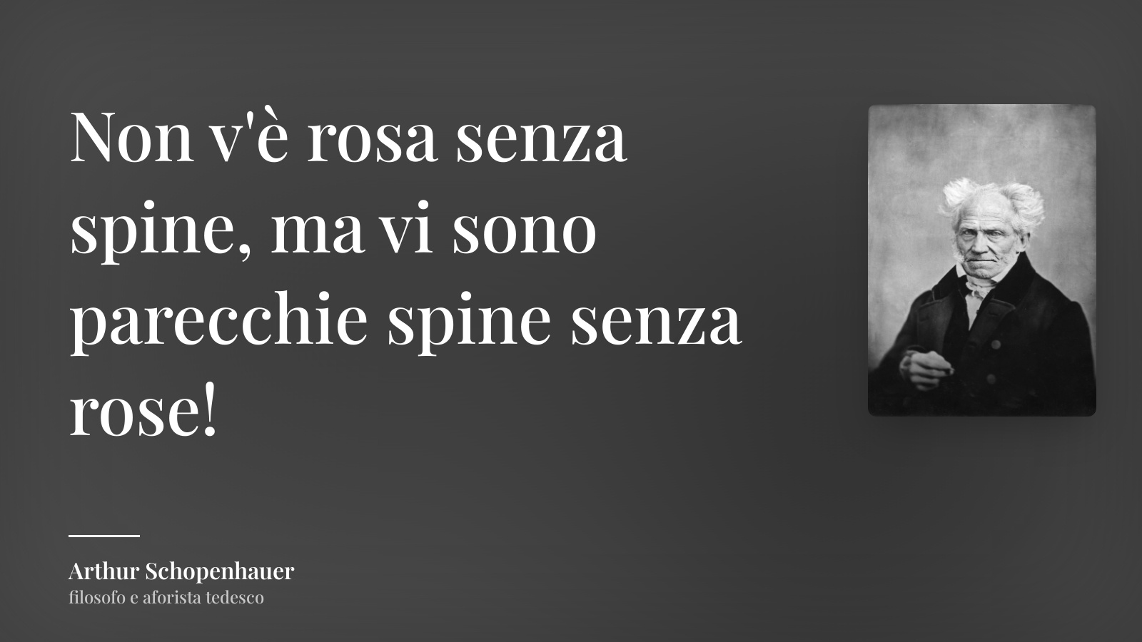 Arthur Schopenhauer frase: “Non v'è rosa senza spine, ma vi sono parecchie spine senza rose!”