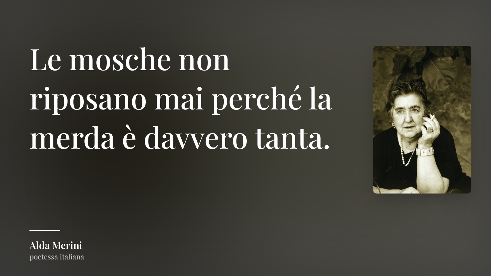 Alda Merini frase: “Le mosche non riposano mai perché la merda è davvero tanta.”