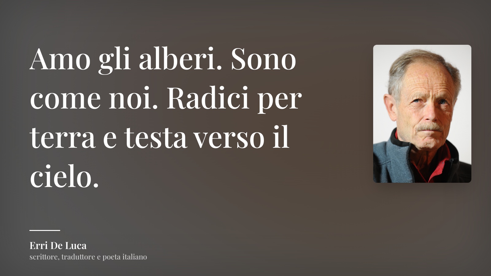 Erri De Luca frase: “Amo gli alberi. Sono come noi. Radici per terra e testa verso il cielo.”