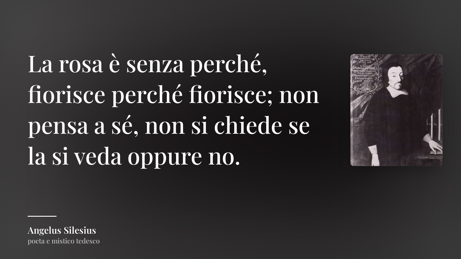 Angelus Silesius frase: “La rosa è senza perché, fiorisce perché fiorisce; non pensa a sé, non si chiede se la si veda oppure no.”