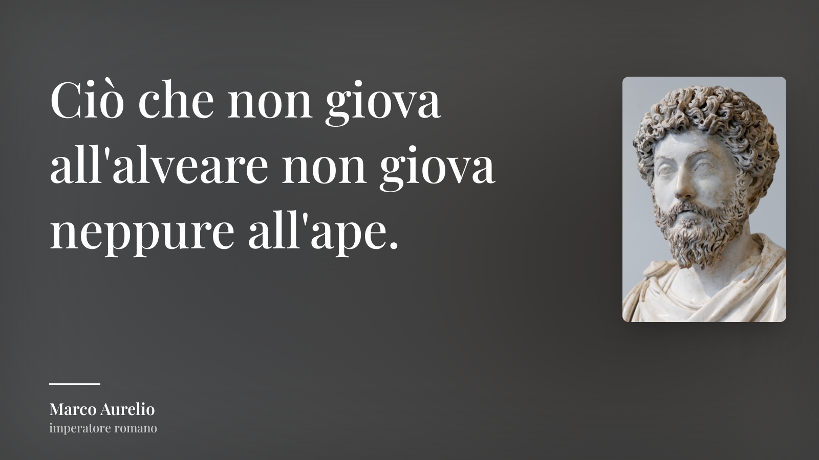 Marco Aurelio frase: “Ciò che non giova all'alveare non giova neppure all'ape.”