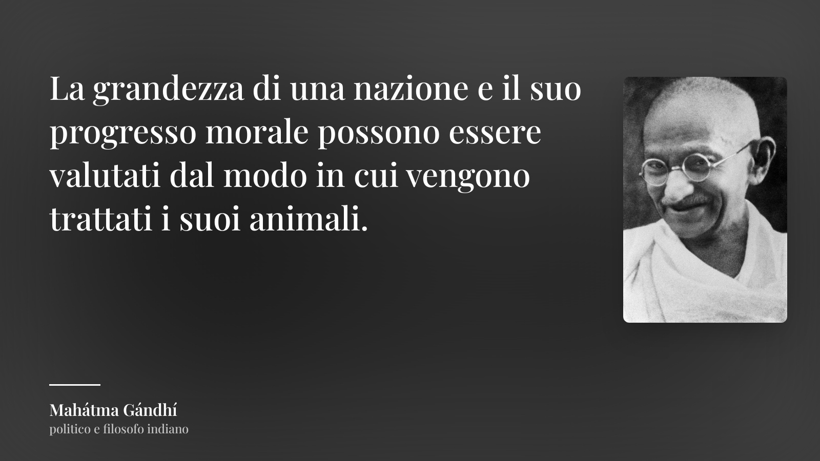 Mahátma Gándhí frase: “La grandezza di una nazione e il suo progresso morale possono essere valutati dal modo in cui vengono trattati i suoi animali.”