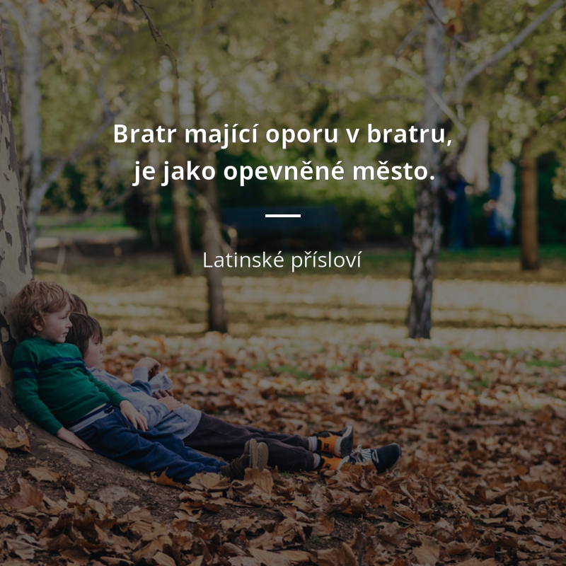 Bible frase: „Bratr mající oporu v bratru je jako opevněné město.“