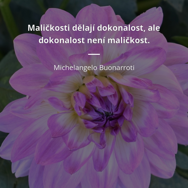 Michelangelo Buonarroti frase: „Maličkosti dělají dokonalost, ale dokonalost není maličkost.“