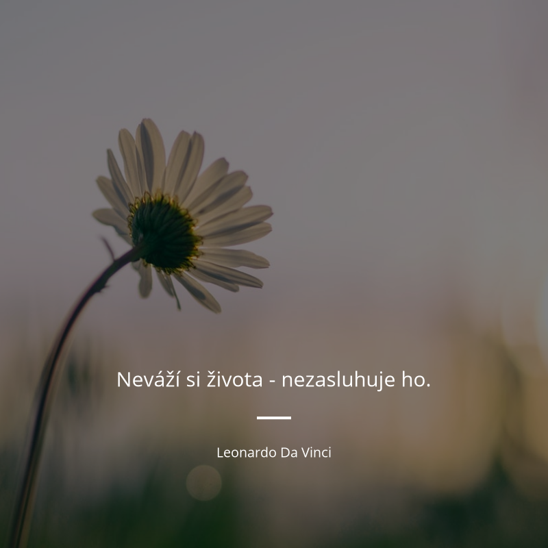 Leonardo Da Vinci frase: „Neváží si života - nezasluhuje ho.“