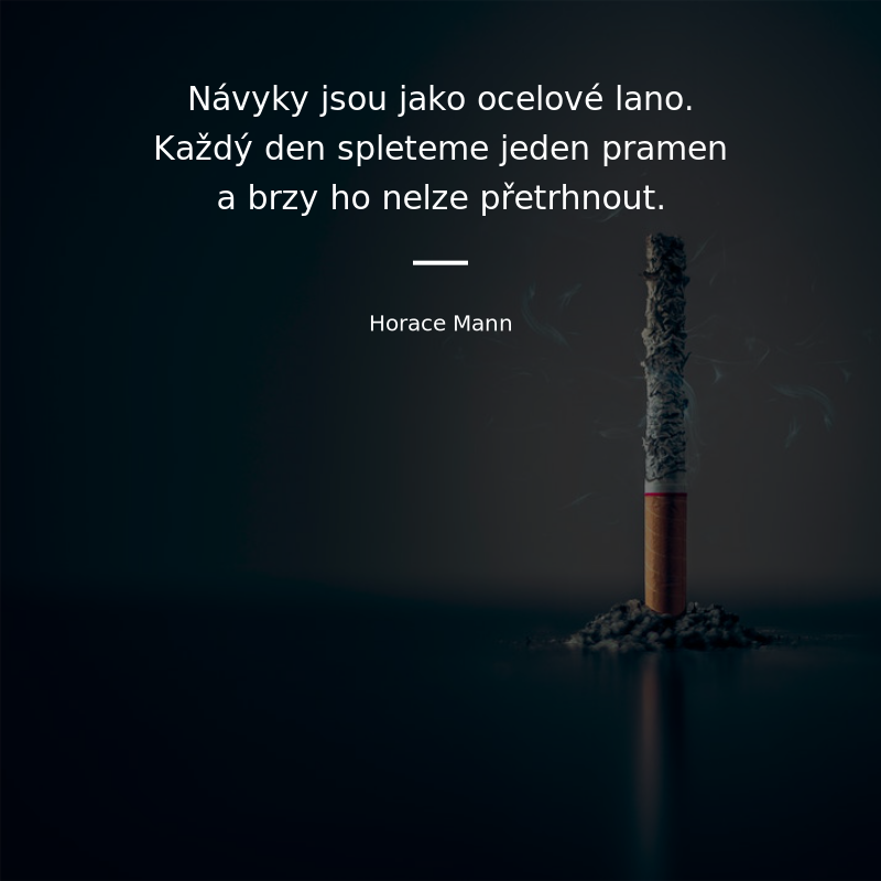 Horace Mann frase: „Návyky jsou jako ocelové lano. Každý den spleteme jeden pramen a brzy ho nelze přetrhnout.“