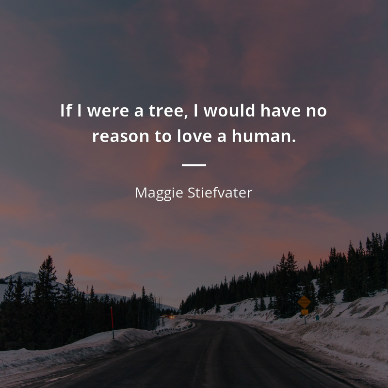 Maggie Stiefvater frase: “If I were a tree, I would have no reason to love a human.”