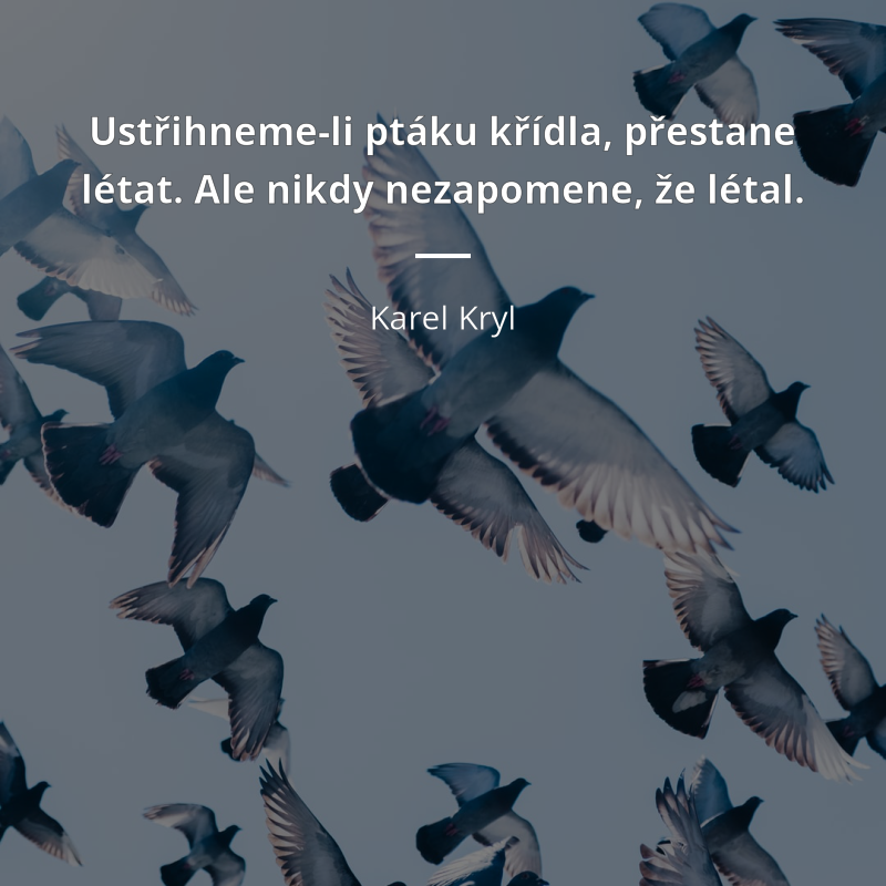 Karel Kryl frase: „Ustřihneme-li ptáku křídla, přestane létat. Ale nikdy nezapomene, že létal.“