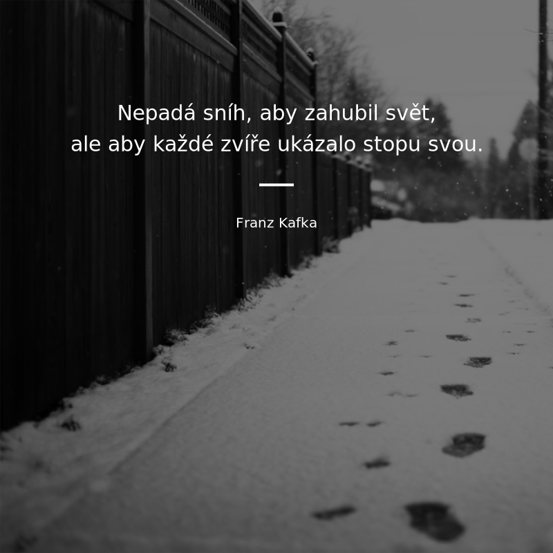 Franz Kafka frase: „Nepadá sníh, aby zahubil svět, ale aby každé zvíře ukázalo stopu svou.“