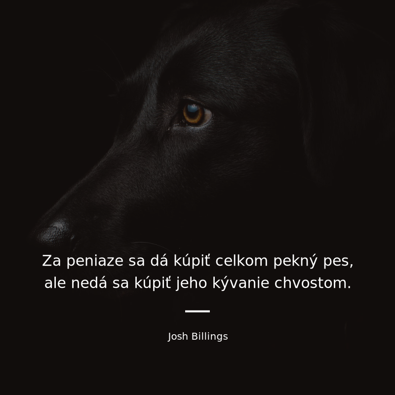 Josh Billings frase: „Za peniaze sa dá kúpiť celkom pekný pes, ale nedá sa kúpiť jeho kývanie chvostom.“