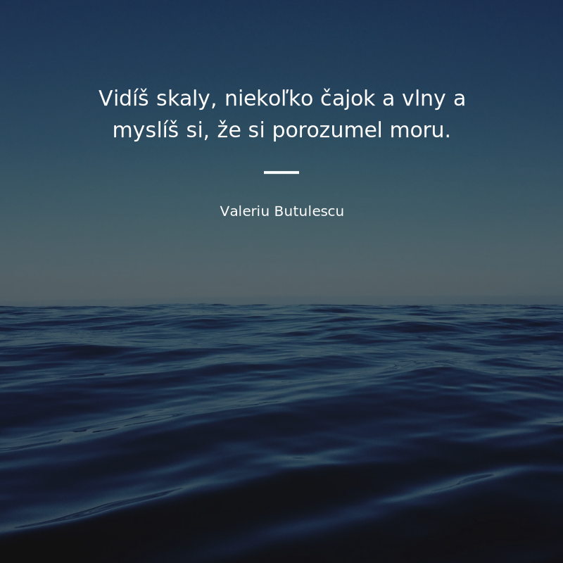 Valeriu Butulescu frase: „Vidíš skaly, niekoľko čajok a vlny a myslíš si, že si porozumel moru.“