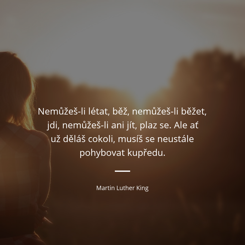 Martin Luther King frase: „Nemůžeš-li létat, běž, nemůžeš-li běžet, jdi, nemůžeš-li ani jít, plaz se. Ale ať už děláš cokoli, musíš se neustále pohybovat kupředu.“