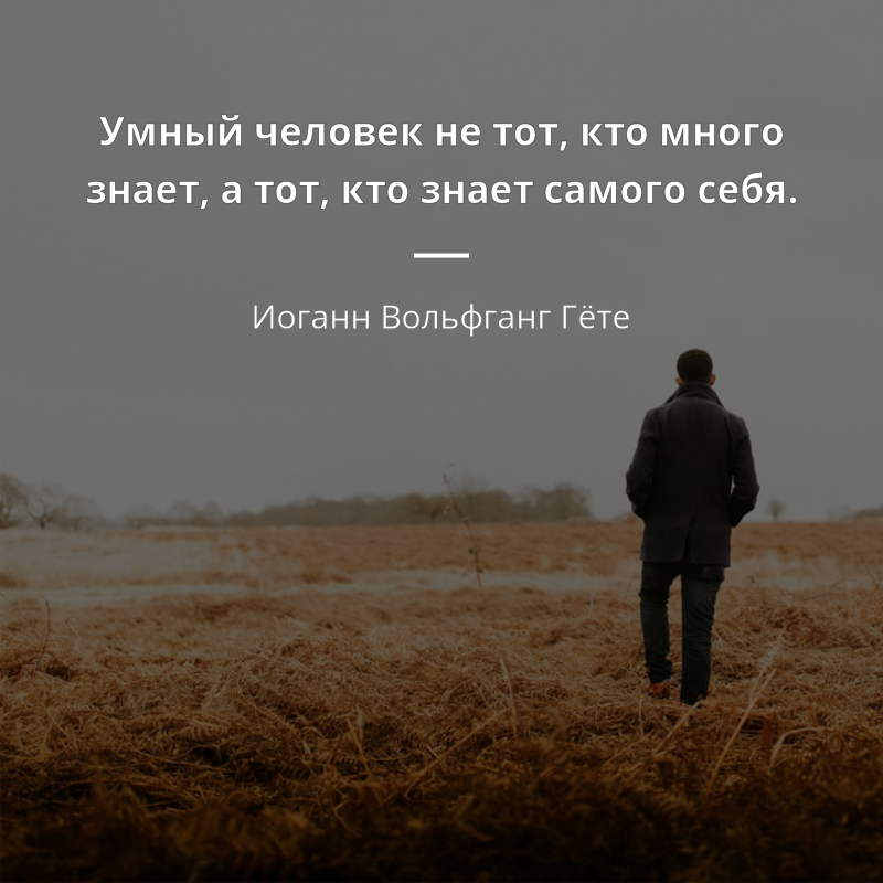 Иоганн Вольфганг Гёте frase: „Умный человек не тот, кто много знает, а тот, кто знает самого себя.“
