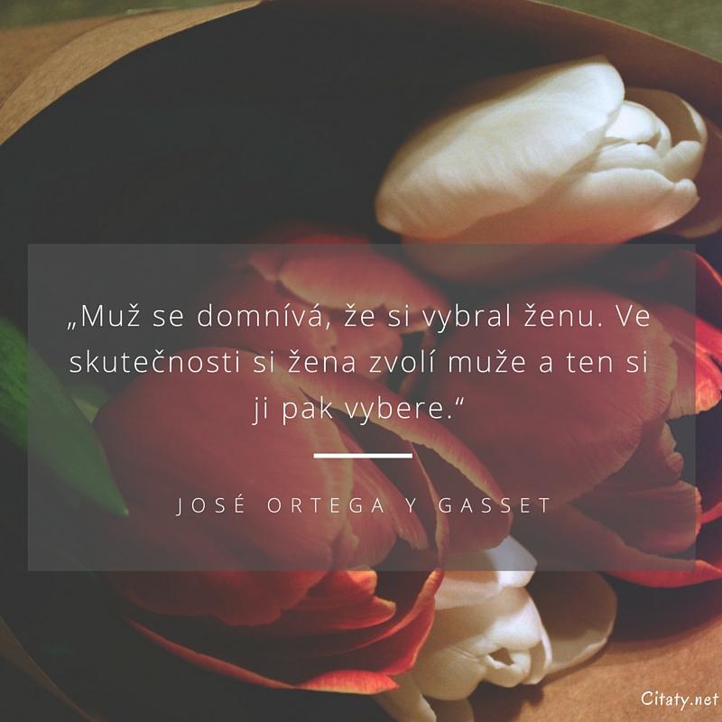 José Ortega Y Gasset frase: „Muž se domnívá, že si vybral ženu. Ve skutečnosti si žena zvolí muže a ten si ji pak vybere.“