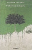 L'amorosa inchiesta